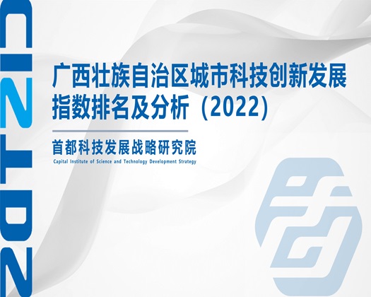 肏白虎逼【成果发布】广西壮族自治区城市科技创新发展指数排名及分析（2022）